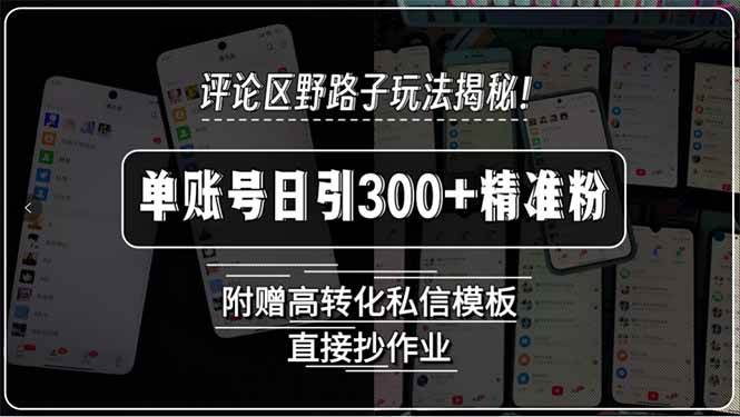 （15466期）评论区野路子玩法揭秘！单账号日引300+精准粉，附赠高转化私信模板，直…-宅客基地