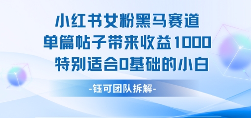 小红书女粉黑马赛道单篇帖子带来收益1k+，特别适合0基础的小白-宅客基地