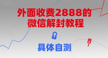 （15301期）外面收费2888的微信解封教程，具体自测-宅客基地