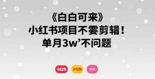 小白可来 小红书项目不需要剪辑 单月3w不是问题-宅客基地
