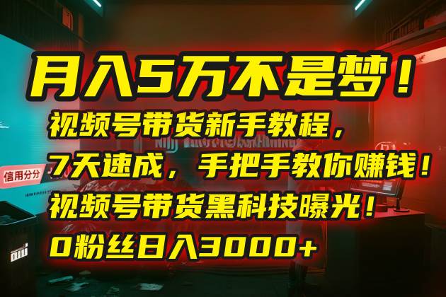 （15595期）月入5万不是梦！视频号带货新手教程，7天速成，手把手教你赚钱！视频号…-宅客基地