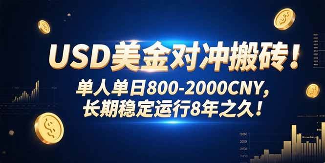 （15551期）USD美金对冲搬砖!单人单日800-2000CNY，长期稳定运行8年之久!-宅客基地