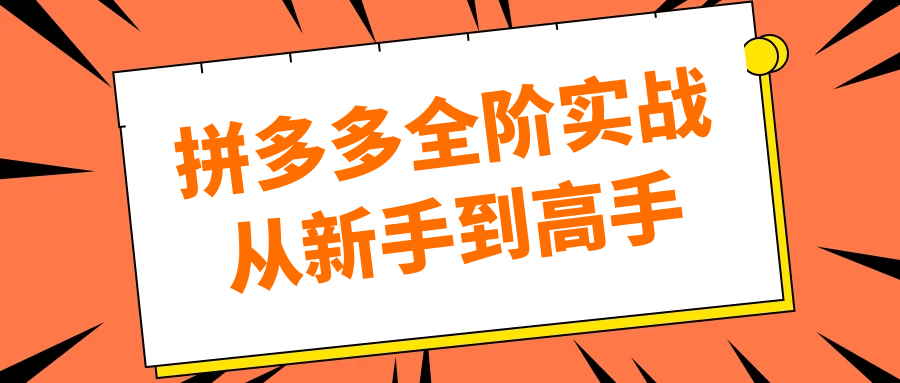 拼多多全阶实战从新手到高手-宅客基地