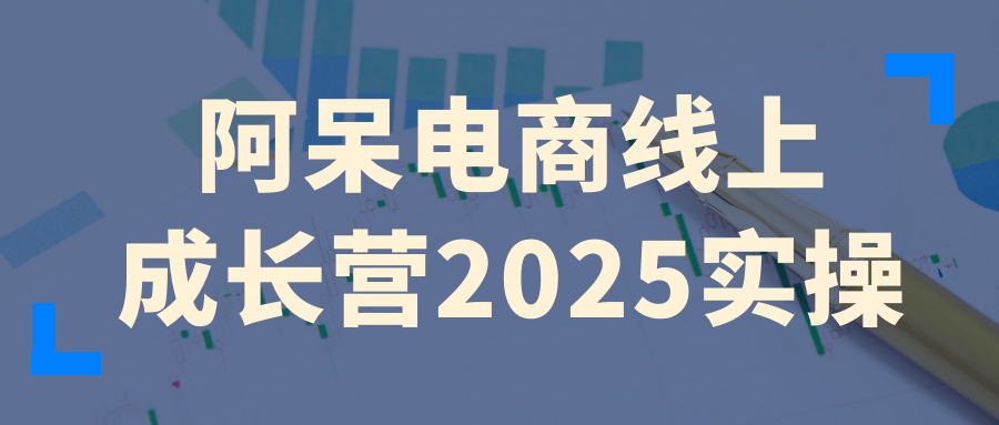 阿呆电商线上成长营2025实操-宅客基地