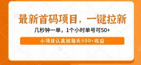 最新首码项目，操作最简单，收益高，一键拉新，1个小时单号可50+，小项目认真做每天5张+收益【揭秘】-宅客基地