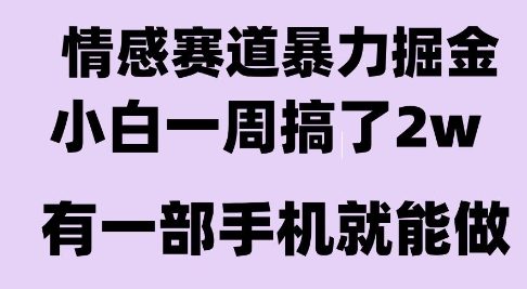 情感暴力掘金项目，新人操作一周挣了2W，长期稳定小白可做【揭秘】-宅客基地