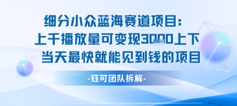 小众蓝海赛道项目：当天变现1k+适合新手操作 +适合长期玩-宅客基地