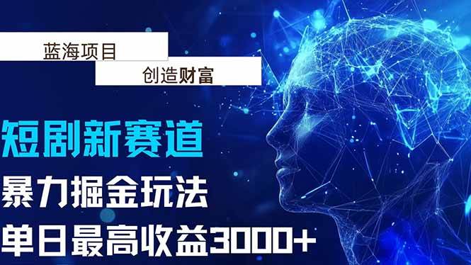 （15438期）抖音新赛道，暴力掘金玩法，单日收益最高3000+-宅客基地