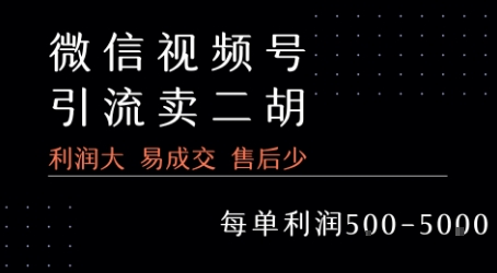 视频号卖二胡教程，利润大 易成交 售后少，一单利润5张+-宅客基地