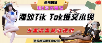 海外tiktok小说推文暴力项目，高停留率，高转化率，上手后一天搞顿饭钱不是问题-宅客基地