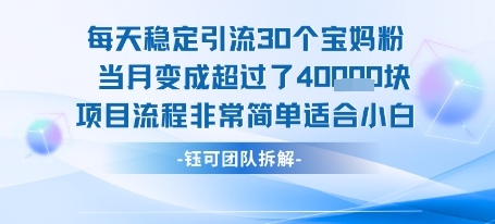 每天稳定引流30个人 当月变成超过了4个W项目流程非常简单适合小白-宅客基地