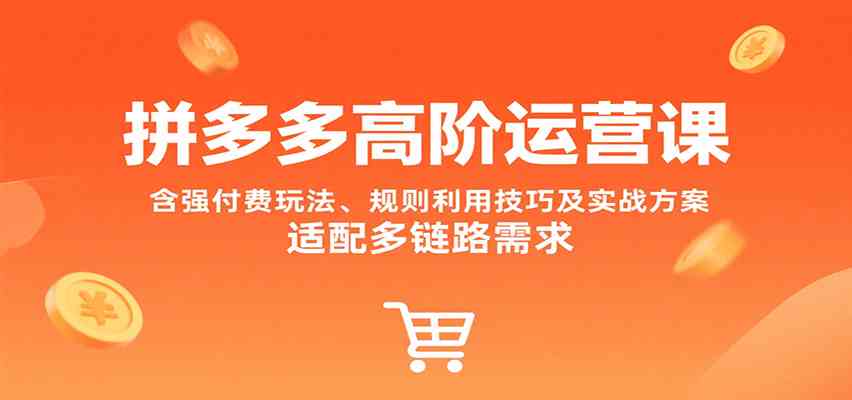 拼多多高阶运营课，含强付费玩法、规则利用技巧及实战方案，适配多链路需求-宅客基地