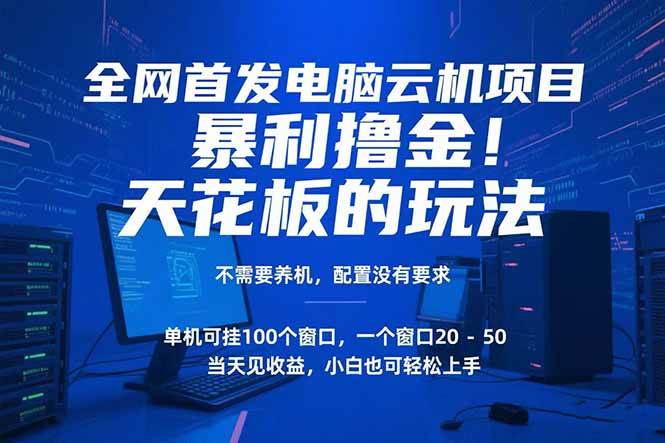 （15323期）电脑云机项目 暴力撸金玩法，不需要养机 配置没有要求 单机100个窗口一…-宅客基地
