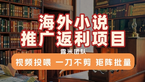 海外小说推广返利项目，视频投喂， 一刀不剪，矩阵批量-宅客基地