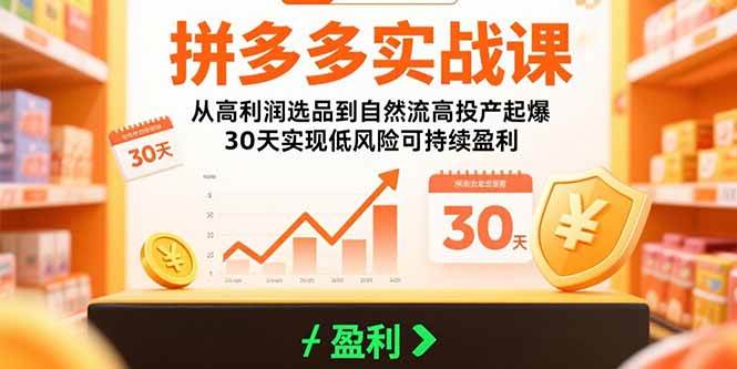 （15586期）拼多多实战课：从高利润选品到自然流高投产起爆 30天实现低风险可持续盈利-宅客基地