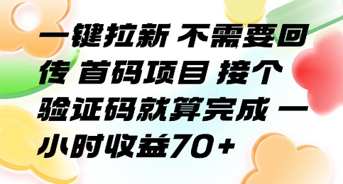 一键拉新 不需要回传 首码项目 接个验证码就算完成 一小时收益70+【揭秘】-宅客基地