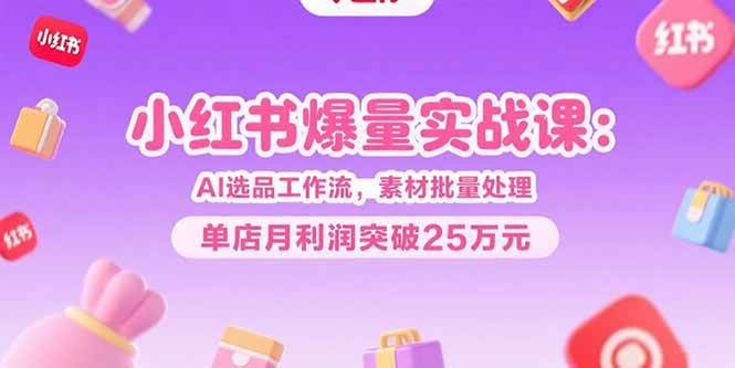 （15462期）小红书爆量实战课：AI选品工作流，素材批量处理，单店月利润突破25万元-宅客基地