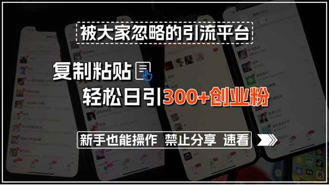 （15428期）被大家忽略的引流平台，复制粘贴轻松日引300+创业粉，新手也能操作，禁…-宅客基地