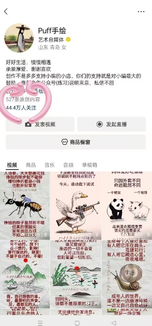 Puff手绘视频号分成项目，三天过分成计划，简单易上手，适合新手-宅客基地