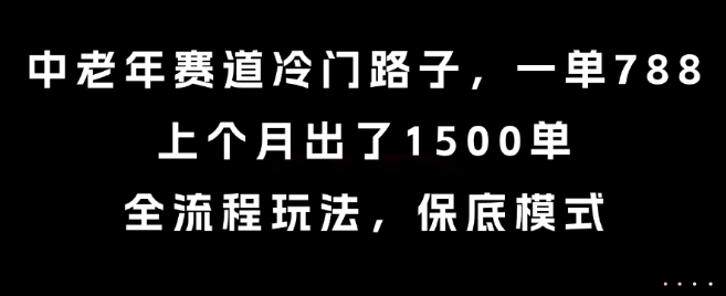 中老年赛道冷门路子，一单788，上个月出了1500单，全流程玩法，保底模式【揭秘】-宅客基地