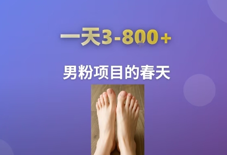 AI一键生成美女素材，一天收益3-8张，男粉项目的春天-宅客基地