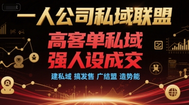 一人公司私域联盟，高客单私域，强人设成交，建私域 搞发售 广结盟 造势能-宅客基地