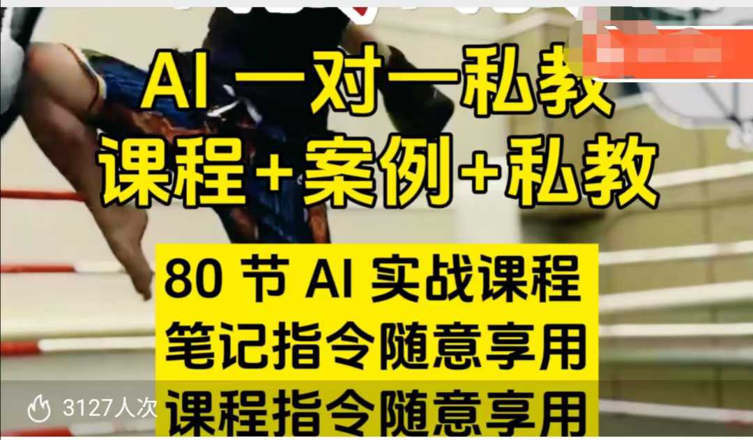AI指令实战课，课程+案例，80节AI实战课程，笔记指令随意享用，课程指令随意享用（更新7月）-宅客基地
