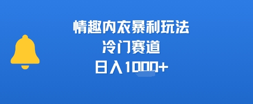 情趣内衣暴利玩法，冷门赛道，日入1k+-宅客基地