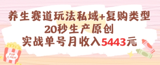 养生赛道玩法私域+复购类型，20秒生产原创实战单号月收入5k+-宅客基地