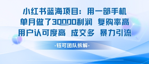 小红书蓝海项目，一部手机单月做了3W利润，小白也能月入过1W用户认可度高成交多-宅客基地