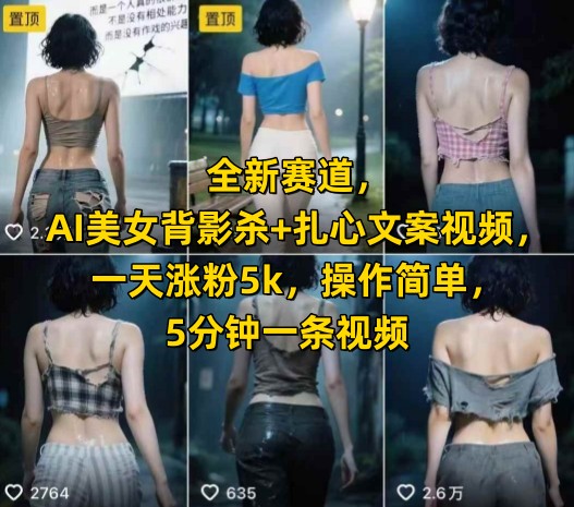 全新赛道，AI美女背影杀+扎心文案视频，一天涨粉5k，操作简单，5分钟一条视频-宅客基地