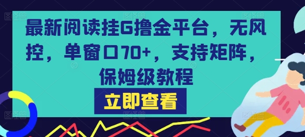 最新阅读挂G撸金平台，无风控，单窗口70+，支持矩阵，保姆级教程【揭秘】-宅客基地