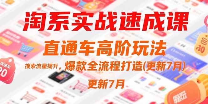 （15374期）淘系实战速成课，直通车高阶玩法，搜索流量提升，爆款全流程打造(更新7月)-宅客基地
