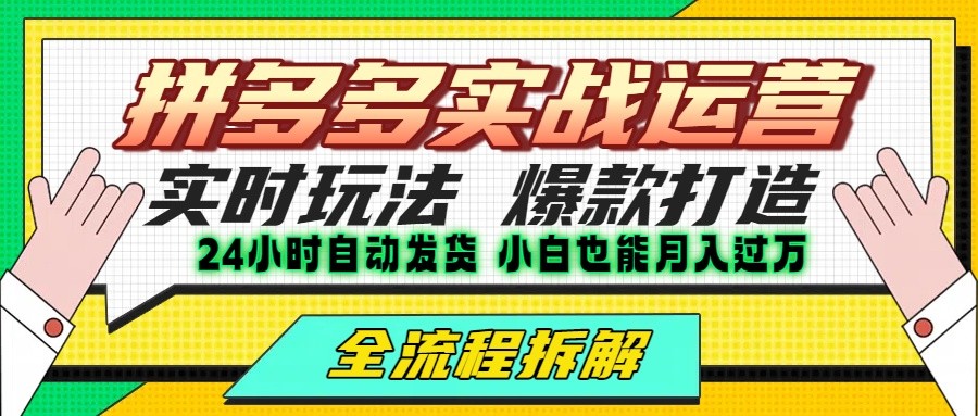 拼多多最新实战运营高投产：长久稳定项目，单店利润一天三位数-宅客基地
